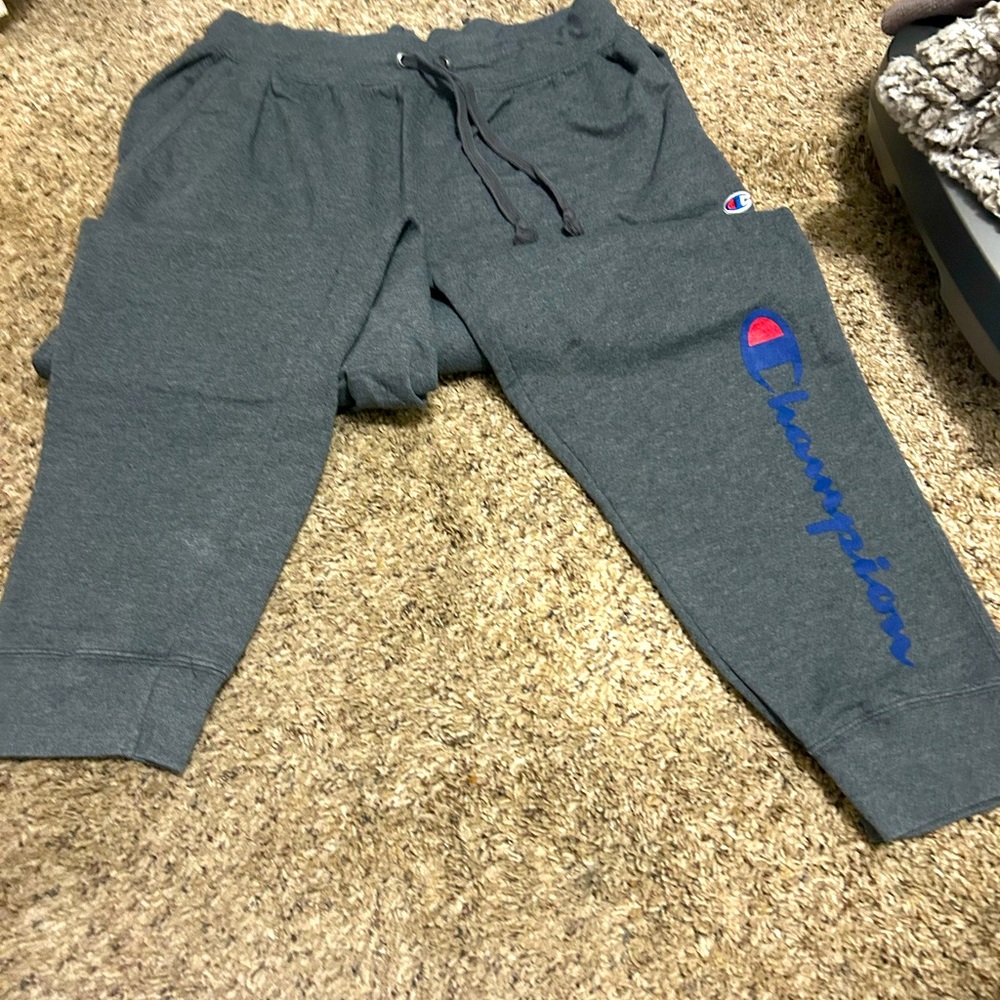 Champion sweat pants.  XL.